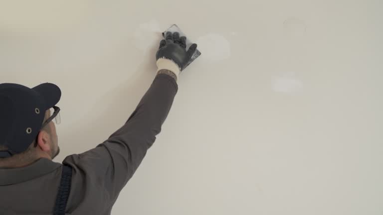 Best Interior Painting  in Palos Hls, IL